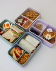 The Sandwich Bento - Green