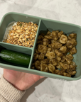The Sandwich Bento - Green