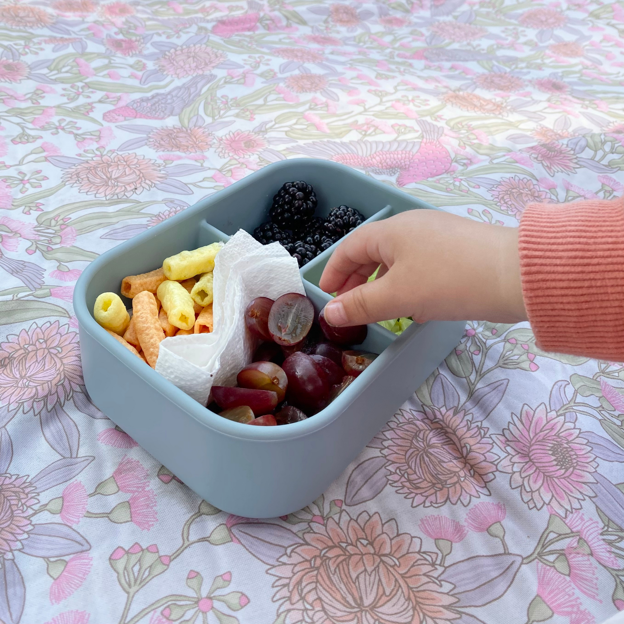 Sili Bento Lunch Box - Blue