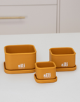 Sili Trio Set - Mustard