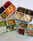 The Quad Bento - Lilac