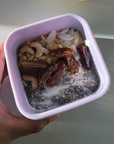 SECONDS - Sili Mini Lunch Box - Lilac