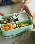 The Quad Bento - Kiwi