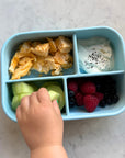 The Quad Bento - Blueberry