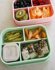 The Quad Bento - Kiwi