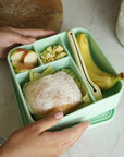 The XL Bento - Kiwi