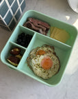 The XL Bento - Kiwi