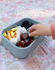 Sili Bento Lunch Box Bundle