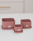 Sili Trio Set - Mauve