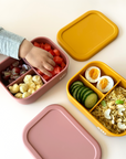 Sili Bento Lunch Box Bundle