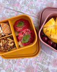 Sili Bento Lunch Box - Mustard