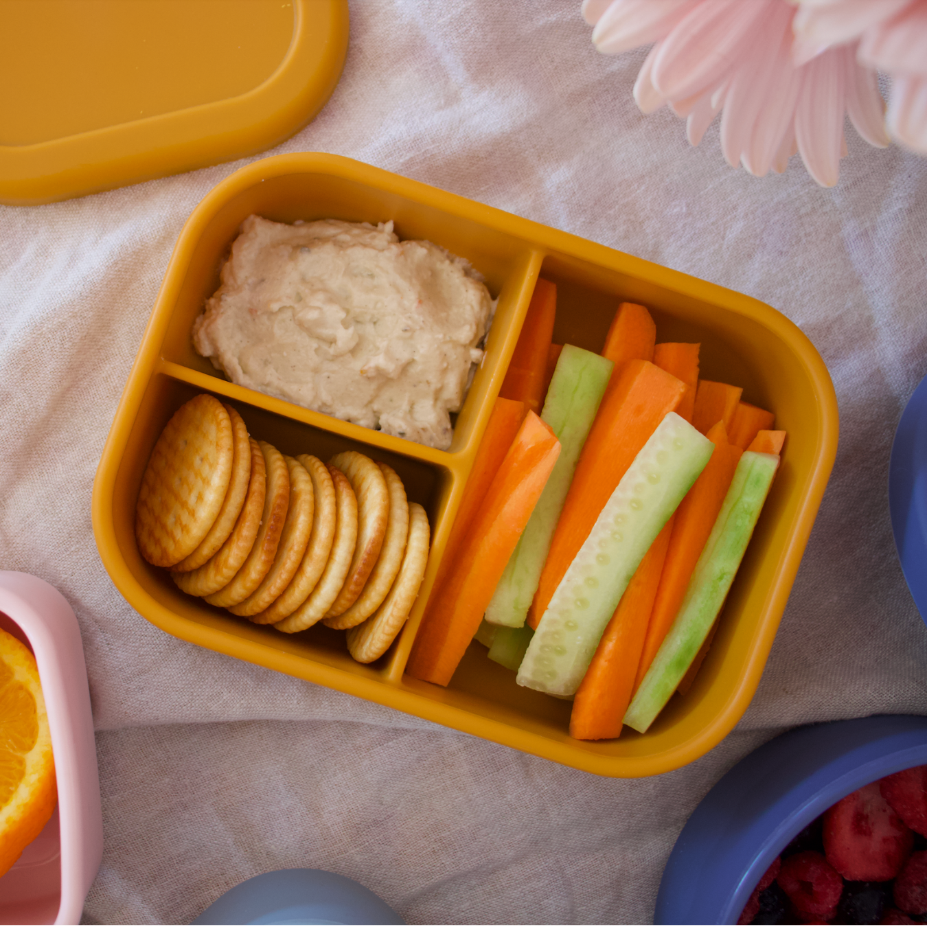 Mustard Bento Lunch Box filled