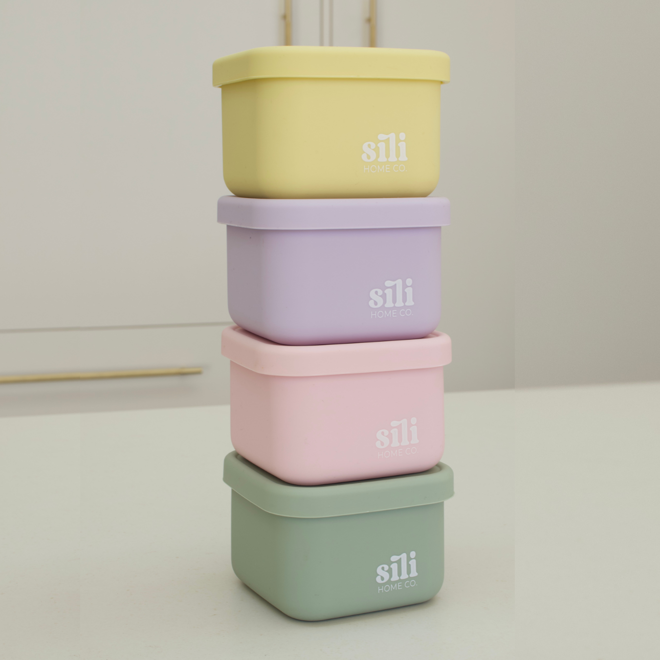 Sili Mini Lunch Box Bundle